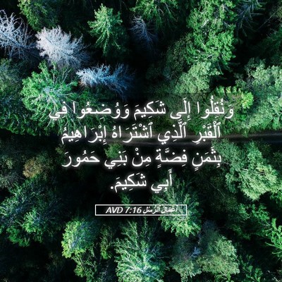 Picture 05 - أَعْمَالُ ٱلرُّسُلِ 7:16 AVD - وَنُقِلُوا إِلَى شَكِيمَ - Bible Verse Picture