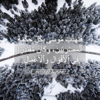 Picture 05 - أَعْمَالُ ٱلرُّسُلِ 7:22 AVD - فَتَهَذَّبَ مُوسَى - Bible Verse Picture