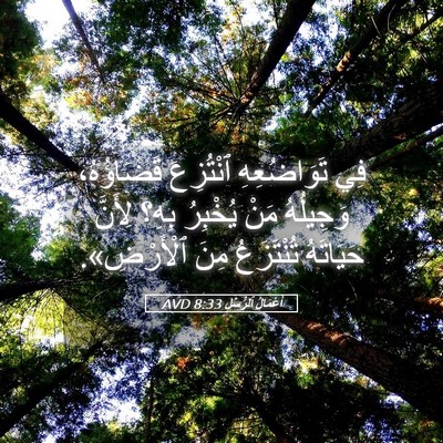 Picture 05 - أَعْمَالُ ٱلرُّسُلِ 8:33 AVD - فِي تَوَاضُعِهِ ٱنْتُزِعَ - Bible Verse Picture