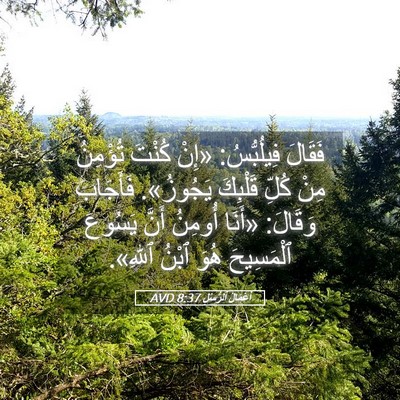 Picture 05 - أَعْمَالُ ٱلرُّسُلِ 8:37 AVD - فَقَالَ فِيلُبُّسُ: «إِنْ - Bible Verse Picture