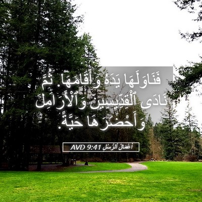 Picture 05 - أَعْمَالُ ٱلرُّسُلِ 9:41 AVD - فَنَاوَلَهَا يَدَهُ - Bible Verse Picture