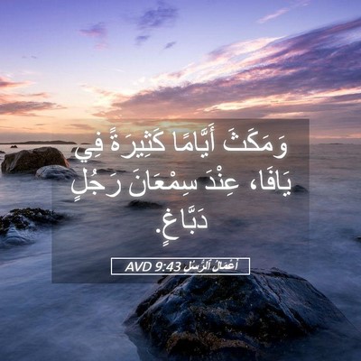 Picture 05 - أَعْمَالُ ٱلرُّسُلِ 9:43 AVD - وَمَكَثَ أَيَّامًا - Bible Verse Picture