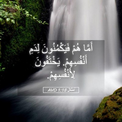 Picture 05 - أَمْثَالٌ 1:18 AVD - أَمَّا هُمْ فَيَكْمُنُونَ - Bible Verse Picture