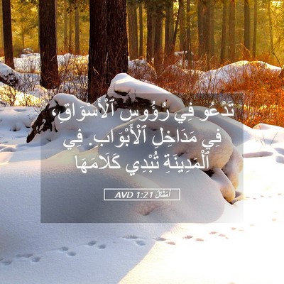 Picture 05 - أَمْثَالٌ 1:21 AVD - تَدْعُو فِي رُؤُوسِ - Bible Verse Picture