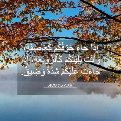 Picture 05 - أَمْثَالٌ 1:27 AVD - إِذَا جَاءَ خَوْفُكُمْ - Bible Verse Picture