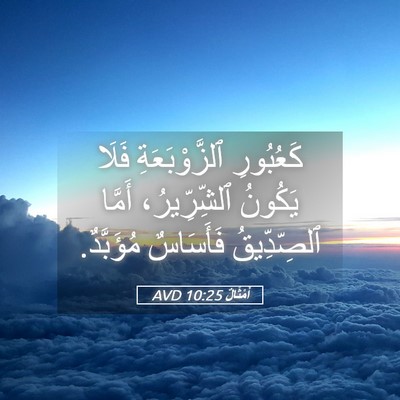 Picture 05 - أَمْثَالٌ 10:25 AVD - كَعُبُورِ ٱلزَّوْبَعَةِ - Bible Verse Picture