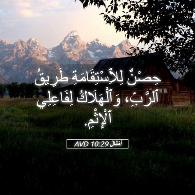 Picture 05 - أَمْثَالٌ 10:29 AVD - حِصْنٌ لِلِٱسْتِقَامَةِ - Bible Verse Picture