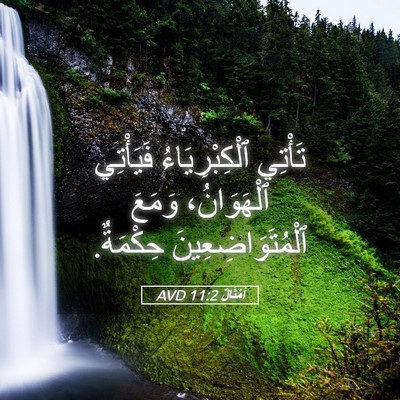 Picture 05 - أَمْثَالٌ 11:2 AVD - تَأْتِي ٱلْكِبْرِيَاءُ - Bible Verse Picture
