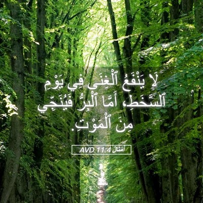 Picture 05 - أَمْثَالٌ 11:4 AVD - لَا يَنْفَعُ ٱلْغِنَى فِي - Bible Verse Picture