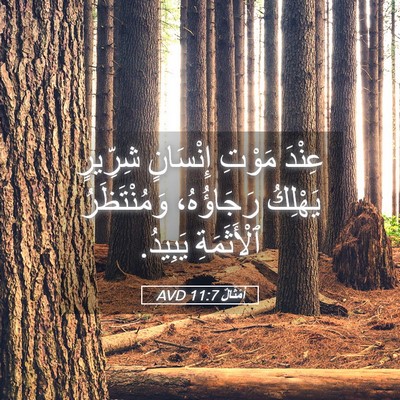 Picture 05 - أَمْثَالٌ 11:7 AVD - عِنْدَ مَوْتِ إِنْسَانٍ - Bible Verse Picture