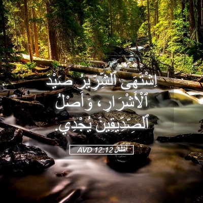 Picture 05 - أَمْثَالٌ 12:12 AVD - اِشْتَهَى ٱلشِّرِّيرُ - Bible Verse Picture