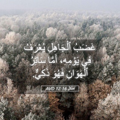 Picture 05 - أَمْثَالٌ 12:16 AVD - غَضَبُ ٱلْجَاهِلِ - Bible Verse Picture