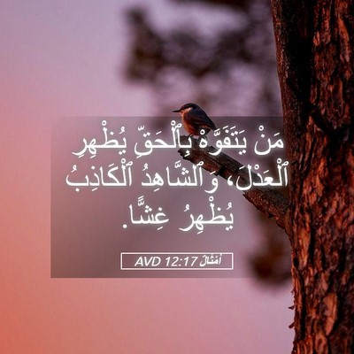 Picture 05 - أَمْثَالٌ 12:17 AVD - مَنْ يَتَفَوَّهْ - Bible Verse Picture