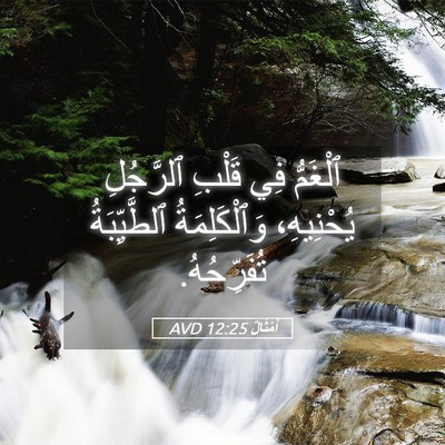 Picture 05 - أَمْثَالٌ 12:25 AVD - ٱلْغَمُّ فِي قَلْبِ - Bible Verse Picture
