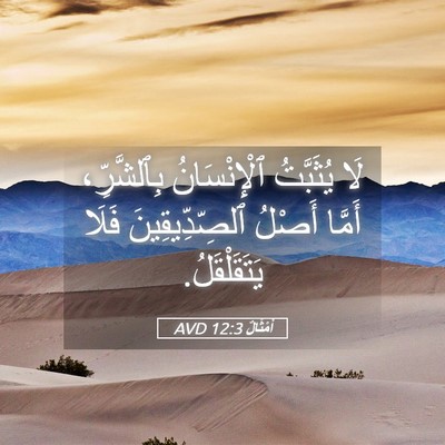 Picture 05 - أَمْثَالٌ 12:3 AVD - لَا يُثَبَّتُ - Bible Verse Picture