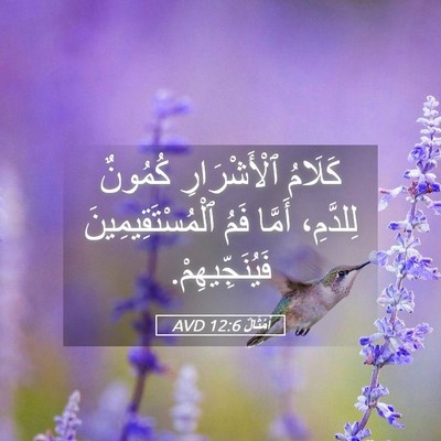 Picture 05 - أَمْثَالٌ 12:6 AVD - كَلَامُ ٱلْأَشْرَارِ - Bible Verse Picture