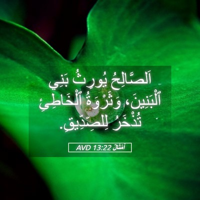 Picture 05 - أَمْثَالٌ 13:22 AVD - اَلصَّالِحُ يُورِثُ بَنِي - Bible Verse Picture