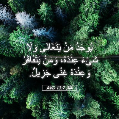 Picture 05 - أَمْثَالٌ 13:7 AVD - يُوجَدُ مَنْ يَتَغَانَى - Bible Verse Picture
