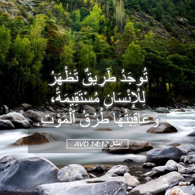 Picture 05 - أَمْثَالٌ 14:12 AVD - تُوجَدُ طَرِيقٌ تَظْهَرُ - Bible Verse Picture