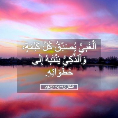 Picture 05 - أَمْثَالٌ 14:15 AVD - اَلْغَبِيُّ يُصَدِّقُ - Bible Verse Picture