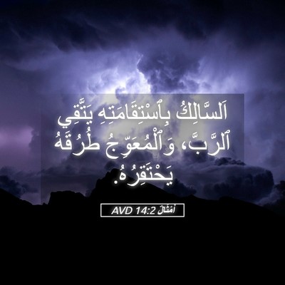 Picture 05 - أَمْثَالٌ 14:2 AVD - اَلسَّالِكُ - Bible Verse Picture