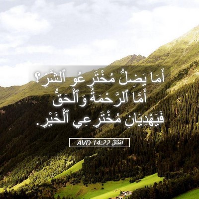Picture 05 - أَمْثَالٌ 14:22 AVD - أَمَا يَضِلُّ مُخْتَرِعُو - Bible Verse Picture
