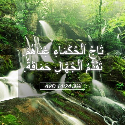 Picture 05 - أَمْثَالٌ 14:24 AVD - تَاجُ ٱلْحُكَمَاءِ - Bible Verse Picture