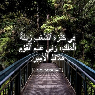 Picture 05 - أَمْثَالٌ 14:28 AVD - فِي كَثْرَةِ ٱلشَّعْبِ - Bible Verse Picture