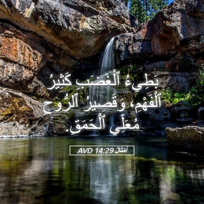 Picture 05 - أَمْثَالٌ 14:29 AVD - بَطِيءُ ٱلْغَضَبِ كَثِيرُ - Bible Verse Picture