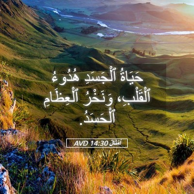 Picture 05 - أَمْثَالٌ 14:30 AVD - حَيَاةُ ٱلْجَسَدِ هُدُوءُ - Bible Verse Picture