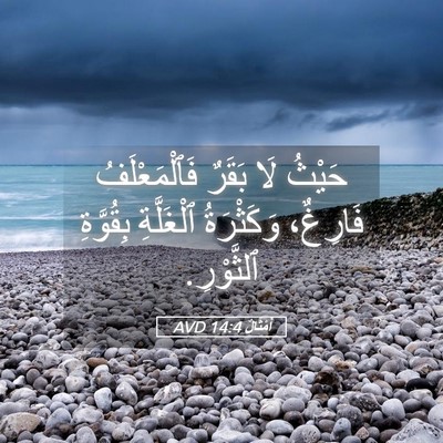 Picture 05 - أَمْثَالٌ 14:4 AVD - حَيْثُ لَا بَقَرٌ - Bible Verse Picture