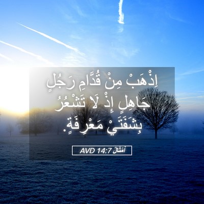 Picture 05 - أَمْثَالٌ 14:7 AVD - اِذْهَبْ مِنْ قُدَّامِ - Bible Verse Picture