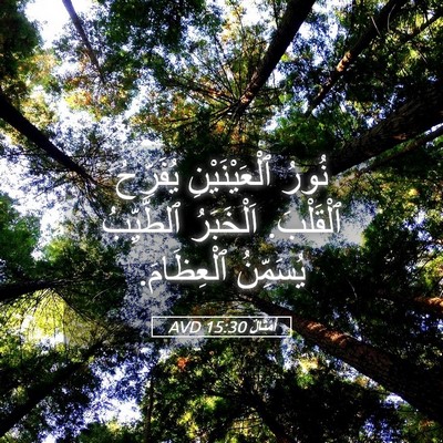 Picture 05 - أَمْثَالٌ 15:30 AVD - نُورُ ٱلْعَيْنَيْنِ - Bible Verse Picture