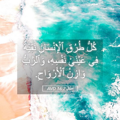 Picture 05 - أَمْثَالٌ 16:2 AVD - كُلُّ طُرُقِ ٱلْإِنْسَانِ - Bible Verse Picture