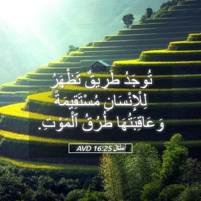 Picture 05 - أَمْثَالٌ 16:25 AVD - تُوجَدُ طَرِيقٌ تَظْهَرُ - Bible Verse Picture