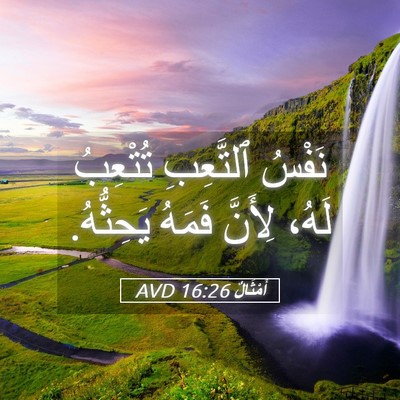 Picture 05 - أَمْثَالٌ 16:26 AVD - نَفْسُ ٱلتَّعِبِ تُتْعِبُ - Bible Verse Picture
