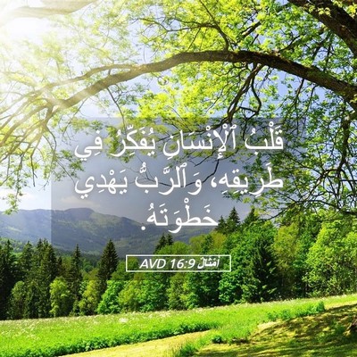 Picture 05 - أَمْثَالٌ 16:9 AVD - قَلْبُ ٱلْإِنْسَانِ - Bible Verse Picture