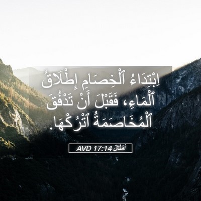 Picture 05 - أَمْثَالٌ 17:14 AVD - اِبْتِدَاءُ ٱلْخِصَامِ - Bible Verse Picture