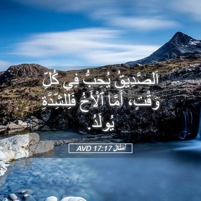 Picture 05 - أَمْثَالٌ 17:17 AVD - اَلصَّدِيقُ يُحِبُّ فِي - Bible Verse Picture