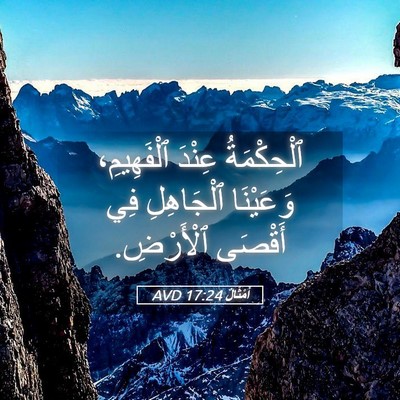 Picture 05 - أَمْثَالٌ 17:24 AVD - ٱلْحِكْمَةُ عِنْدَ - Bible Verse Picture