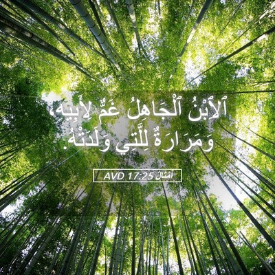 Picture 05 - أَمْثَالٌ 17:25 AVD - ٱلِٱبْنُ ٱلْجَاهِلُ غَمٌّ - Bible Verse Picture