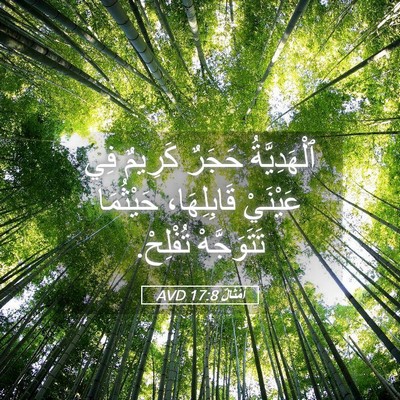 Picture 05 - أَمْثَالٌ 17:8 AVD - ٱلْهَدِيَّةُ حَجَرٌ - Bible Verse Picture