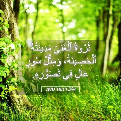 Picture 05 - أَمْثَالٌ 18:11 AVD - ثَرْوَةُ ٱلْغَنِيِّ - Bible Verse Picture