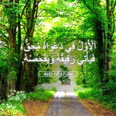Picture 05 - أَمْثَالٌ 18:17 AVD - اَلْأَوَّلُ فِي دَعْوَاهُ - Bible Verse Picture