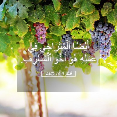 Picture 05 - أَمْثَالٌ 18:9 AVD - أَيْضًا ٱلْمُتَرَاخِي فِي - Bible Verse Picture
