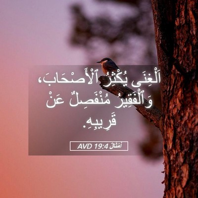 Picture 05 - أَمْثَالٌ 19:4 AVD - اَلْغِنَى يُكْثِرُ - Bible Verse Picture