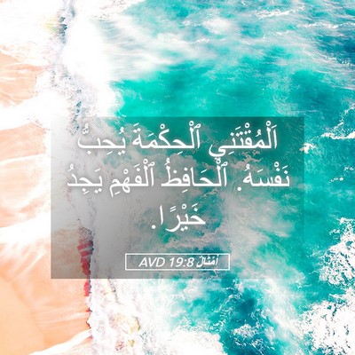 Picture 05 - أَمْثَالٌ 19:8 AVD - اَلْمُقْتَنِي ٱلْحِكْمَةَ - Bible Verse Picture