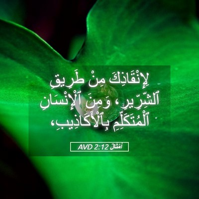 Picture 05 - أَمْثَالٌ 2:12 AVD - لِإِنْقَاذِكَ مِنْ - Bible Verse Picture