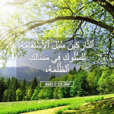 Picture 05 - أَمْثَالٌ 2:13 AVD - ٱلتَّارِكِينَ سُبُلَ - Bible Verse Picture