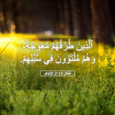 Picture 05 - أَمْثَالٌ 2:15 AVD - ٱلَّذِينَ طُرُقُهُمْ - Bible Verse Picture